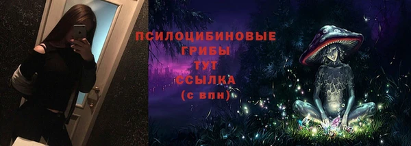 хмурый Абаза