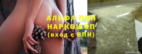 шишки Алзамай