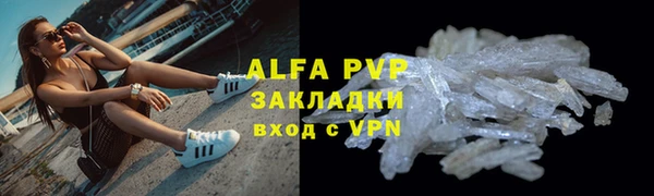 хмурый Абаза