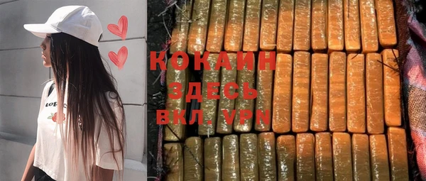 хмурый Абаза