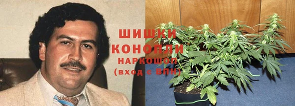 шишки Алзамай