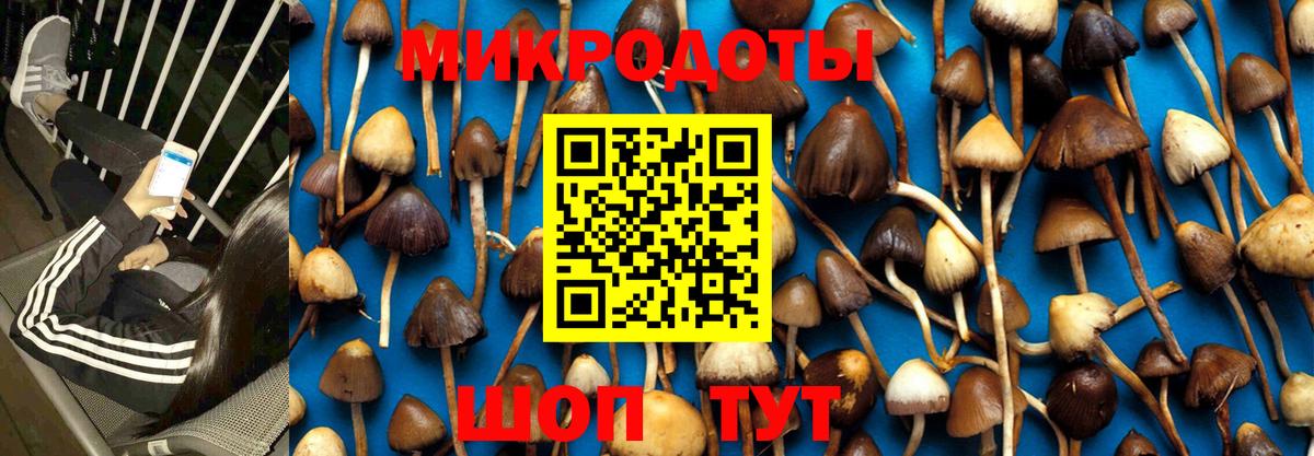 Псилоцибиновые грибы мицелий Усолье-Сибирское